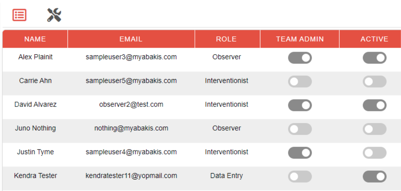 Scalable Team Access